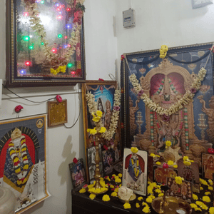 sri agathiyar nadi jothidam ,